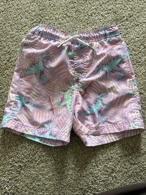 Cat & Jack Kids Purple and Mint Dinosaur Swim Trunks